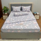  Bộ Drap Victoria TLV101 