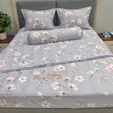  Bộ Drap Victoria TLV101 