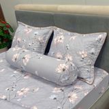  Bộ Drap Victoria TLV101 