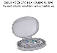  Máy tăm nước gia đình Prooral 5102 