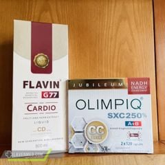  Flavin G77 Cardio 500ml 
