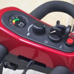  Xe điện 4 bánh Eurocare Omega 