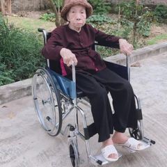  Xe lăn có bô vệ sinh Lucass X8 