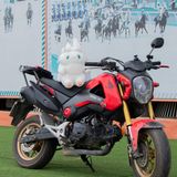  Honda MSX 125 