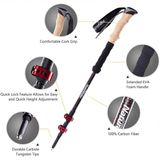  Gậy Leo Núi Bằng Sợi Carbon Naturehike 
