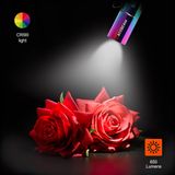  Đèn Pin Cắm Trại Du Lịch ACEBEAM RIDER RX RAINBOW Độ Sáng 650 Lumen Chiếu Xa 96M 