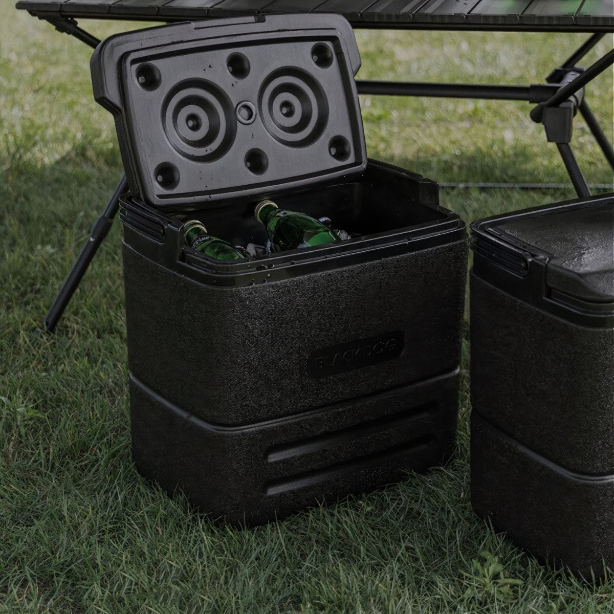  Thùng đá giữ lạnh cắm trại 17L BlackDog 
