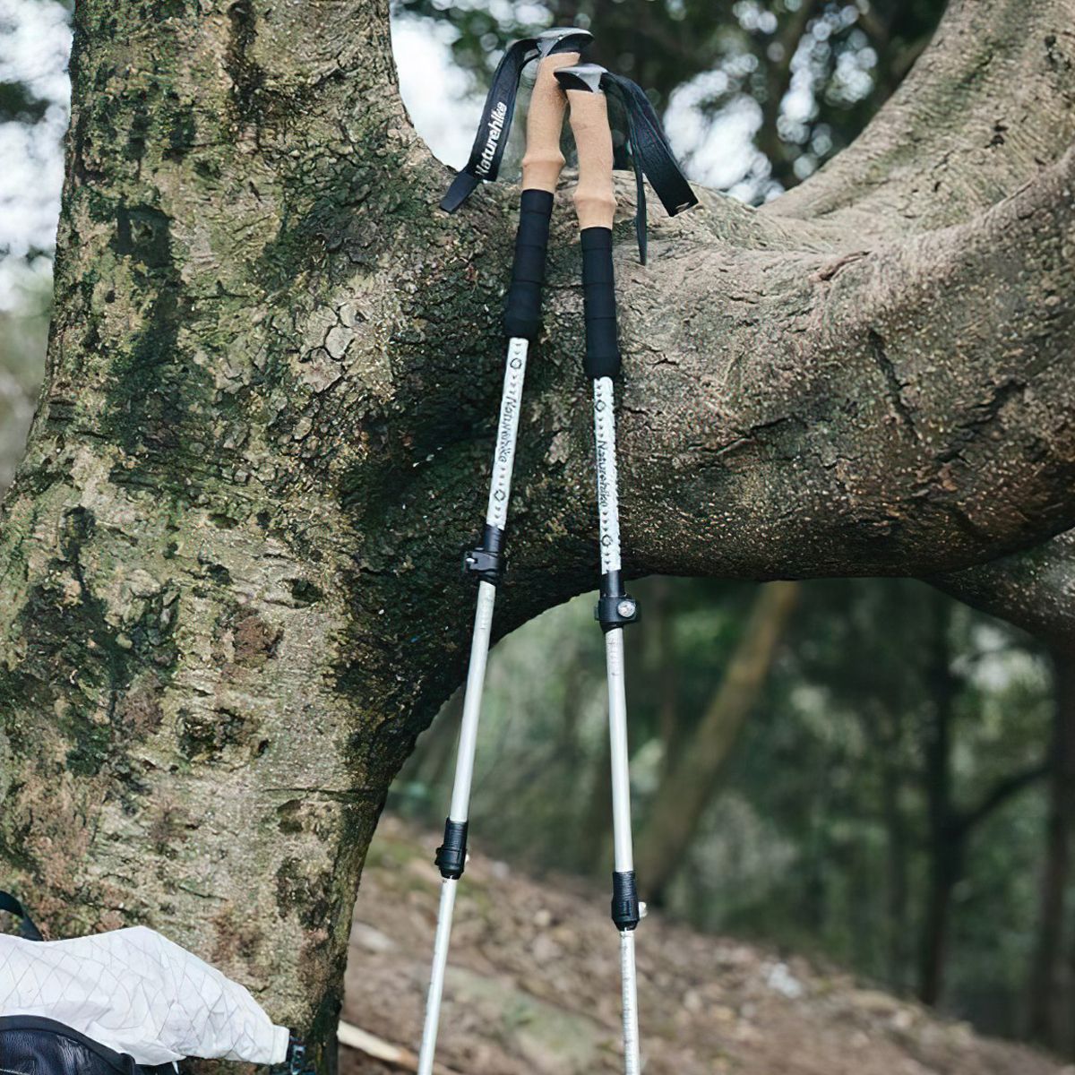  Bộ 2 Gậy Leo Núi Rút Gọn Nhôm 7075 Naturehike 