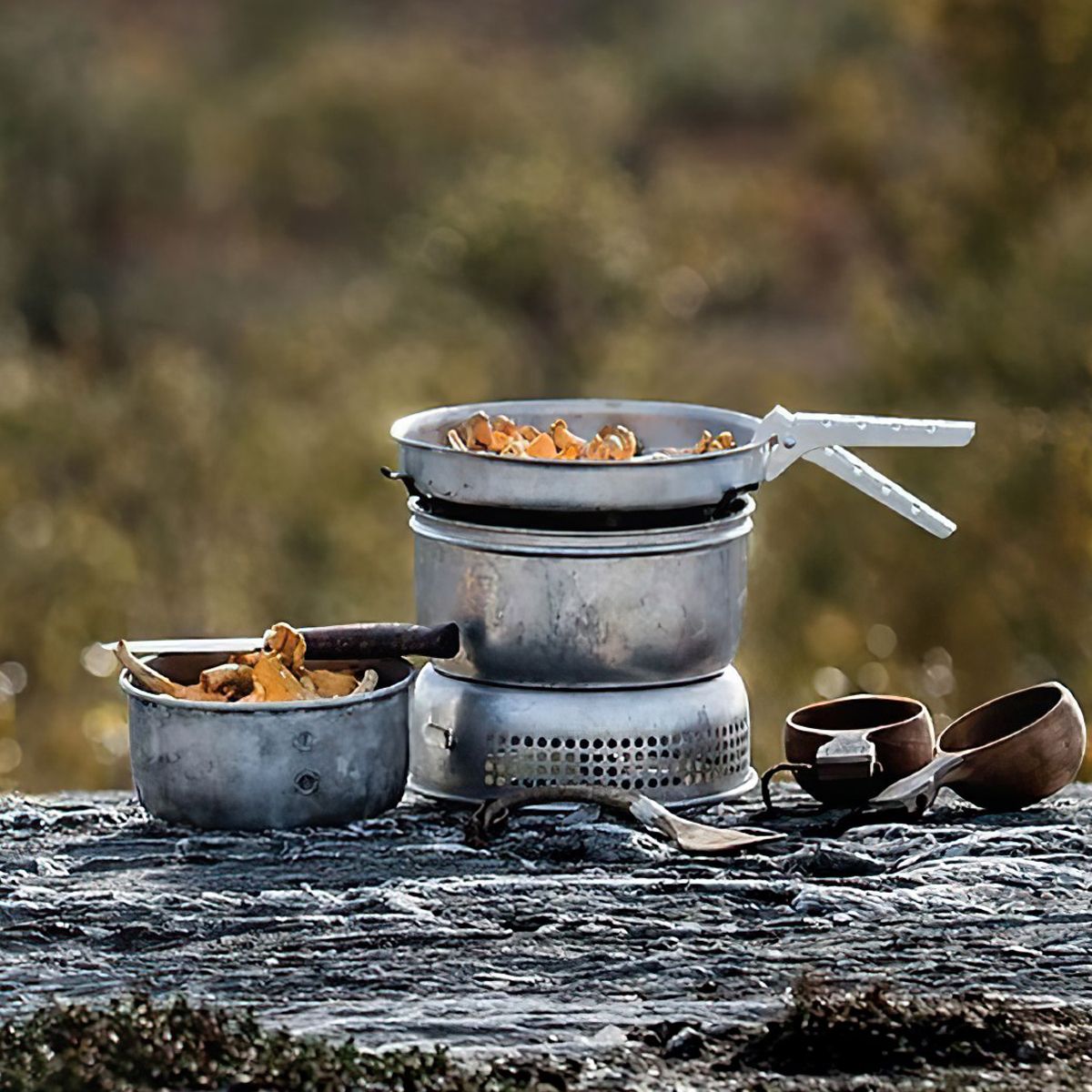  Bộ Bếp Cắm Trại Trangia Storm Cooker 25-5 Ul 