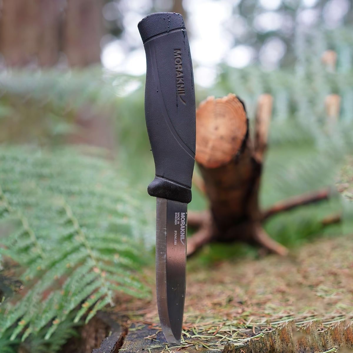  Dao Cắm Trại Morakniv Companion HeavyDuty Stainless Steel 