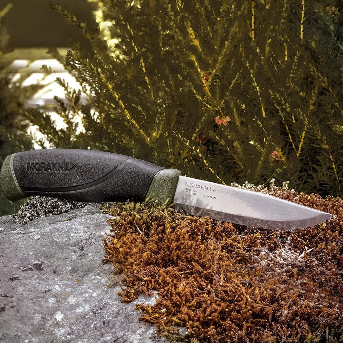 Dao Morakniv Companion MG Carbon Steel 