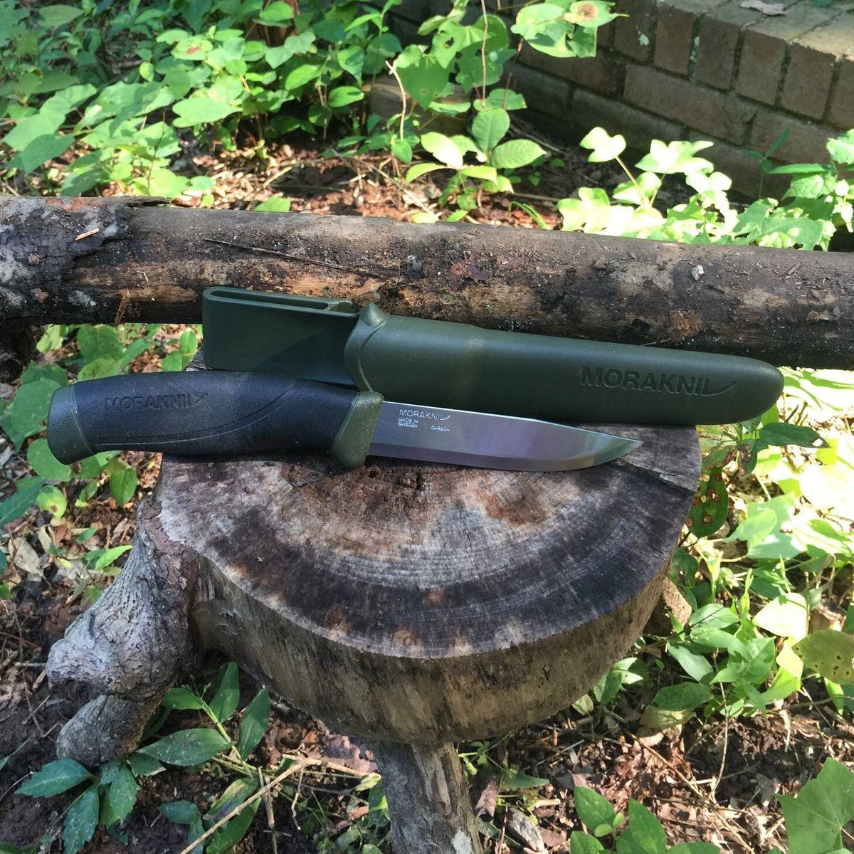  Dao Morakniv Companion MG Carbon Steel 
