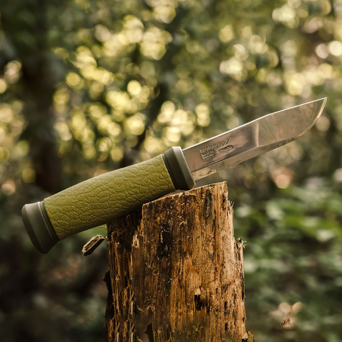  Dao Cắm Trại Morakniv Mora 2000 Stainless Steel 