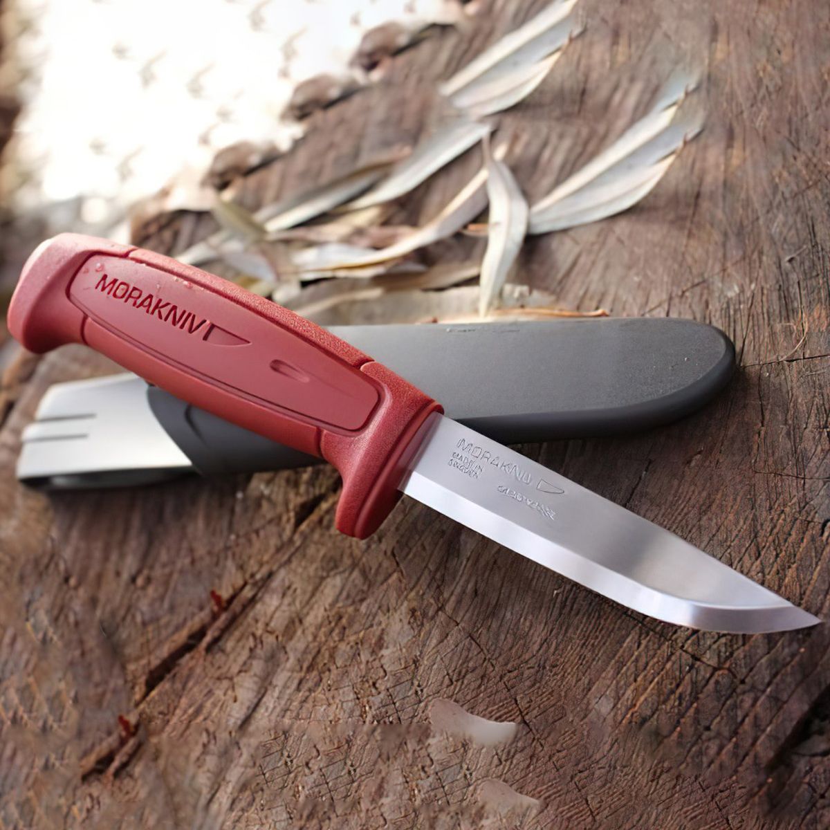  Dao Morakniv Basic 511 Carbon Steel 