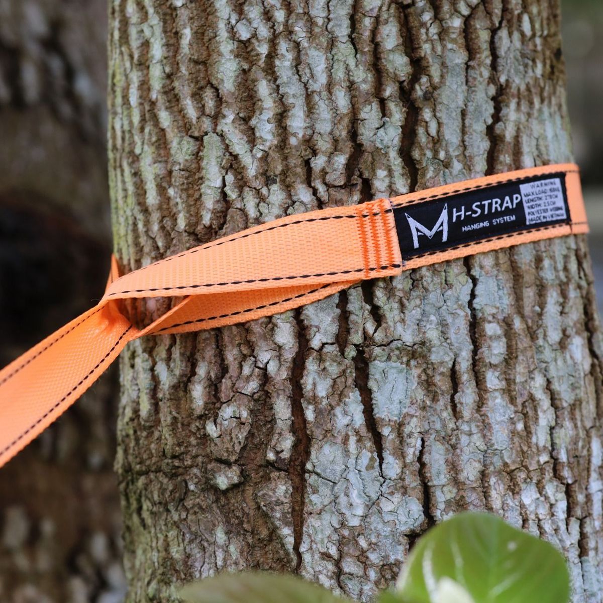  Dây Mắc Võng Dã Ngoại Madfox H-Strap Hanging System MF-HSTRAP 