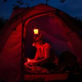  Đèn Đuốc Cắm Trại Princeton Tec Helix Basecamp Led Lantern Hx2-Bk 
