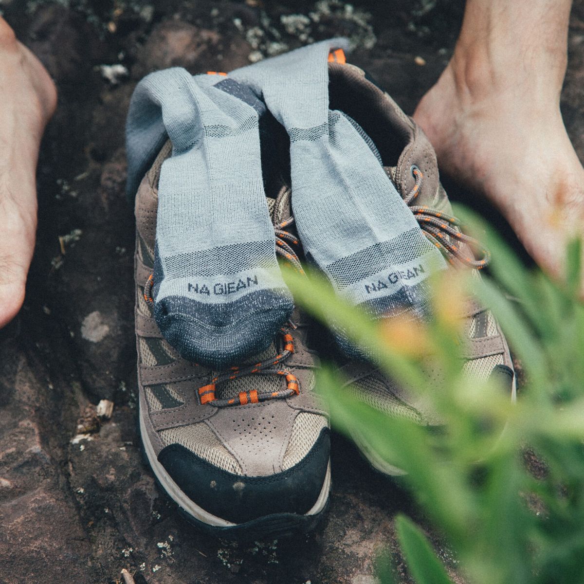  Tất Lông Cừu Merino Cao Cổ Dã Ngoại, Leo Núi,Trekking Na Giean NGCM0003 
