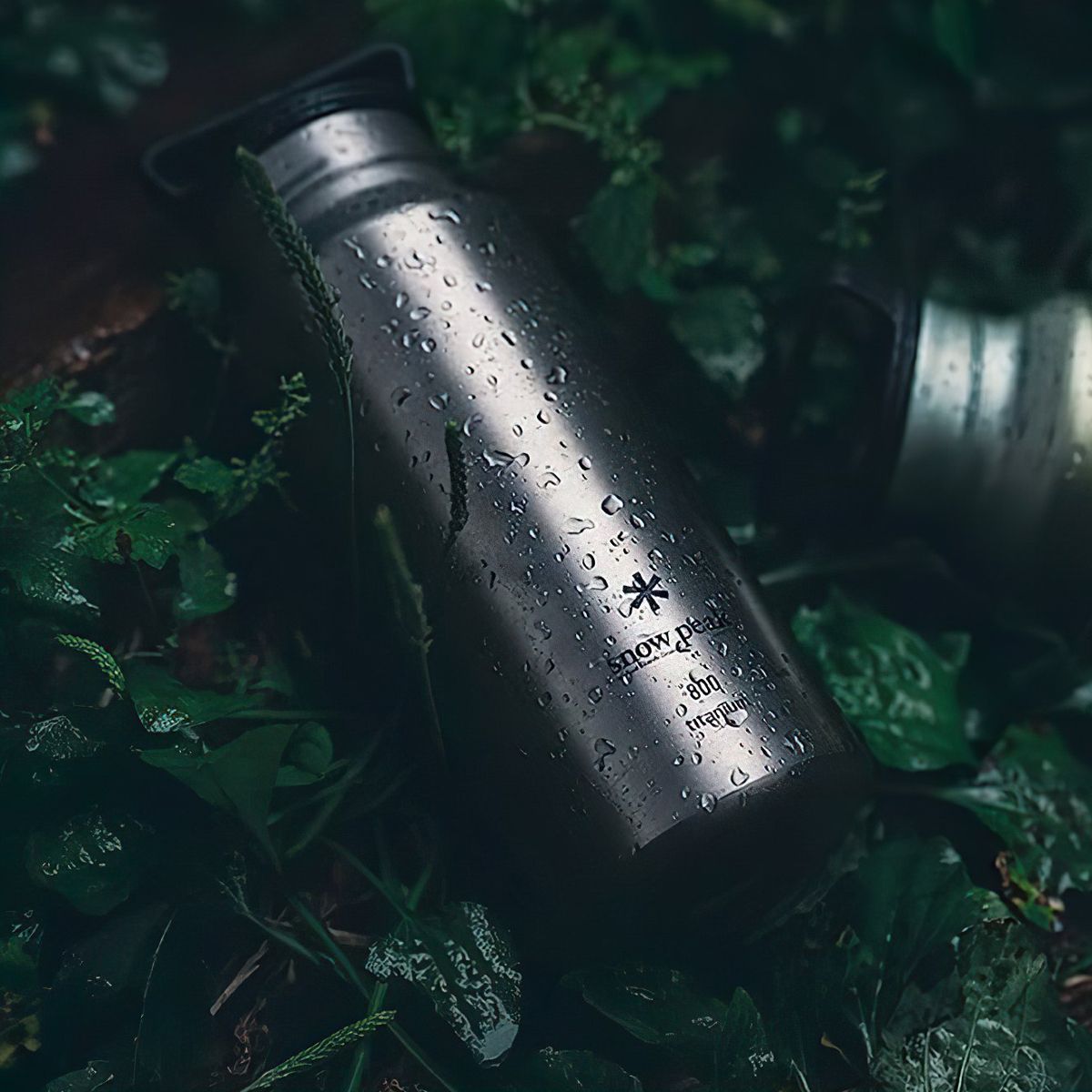  Bình Nước Cắm Trại Du Lịch Snowpeak Titanium Aurora Bottle 