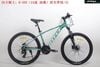 Xe đạp MTB DTFLY H-500 24 tốc độ