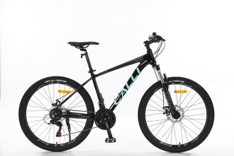  Xe đạp MTB Calli 2100 