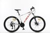 Xe đạp MTB Calli 2100