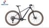 Xe đạp MTB NESTO TIGER khung carbon