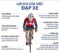  5 lợi ích của việc đạp xe | Tin tức | HT BIKE | BLOG 