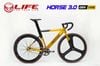Xe đạp Fixed Gear LIFE HORSE 3.0