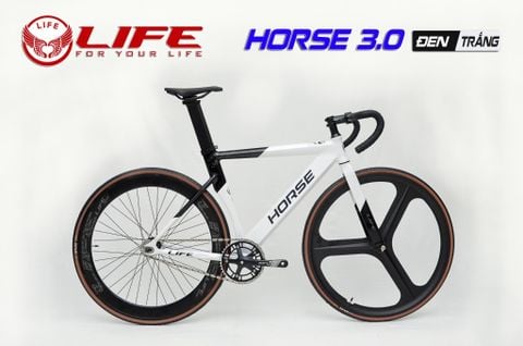  Xe đạp Fixed Gear LIFE HORSE 3.0 