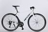 Xe đạp đường phố Touring NESTO CAT khung nhôm | HT BIKE