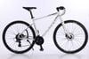 Xe đạp Touring đường phố CALLI S5000 | HT BIKE
