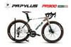Xe đạp đua Road PAPYLUS PR900 mới nhất | HT BIKE
