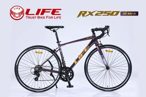  Xe đạp đua Road LIFE RX250 mới nhất | HT BIKE 