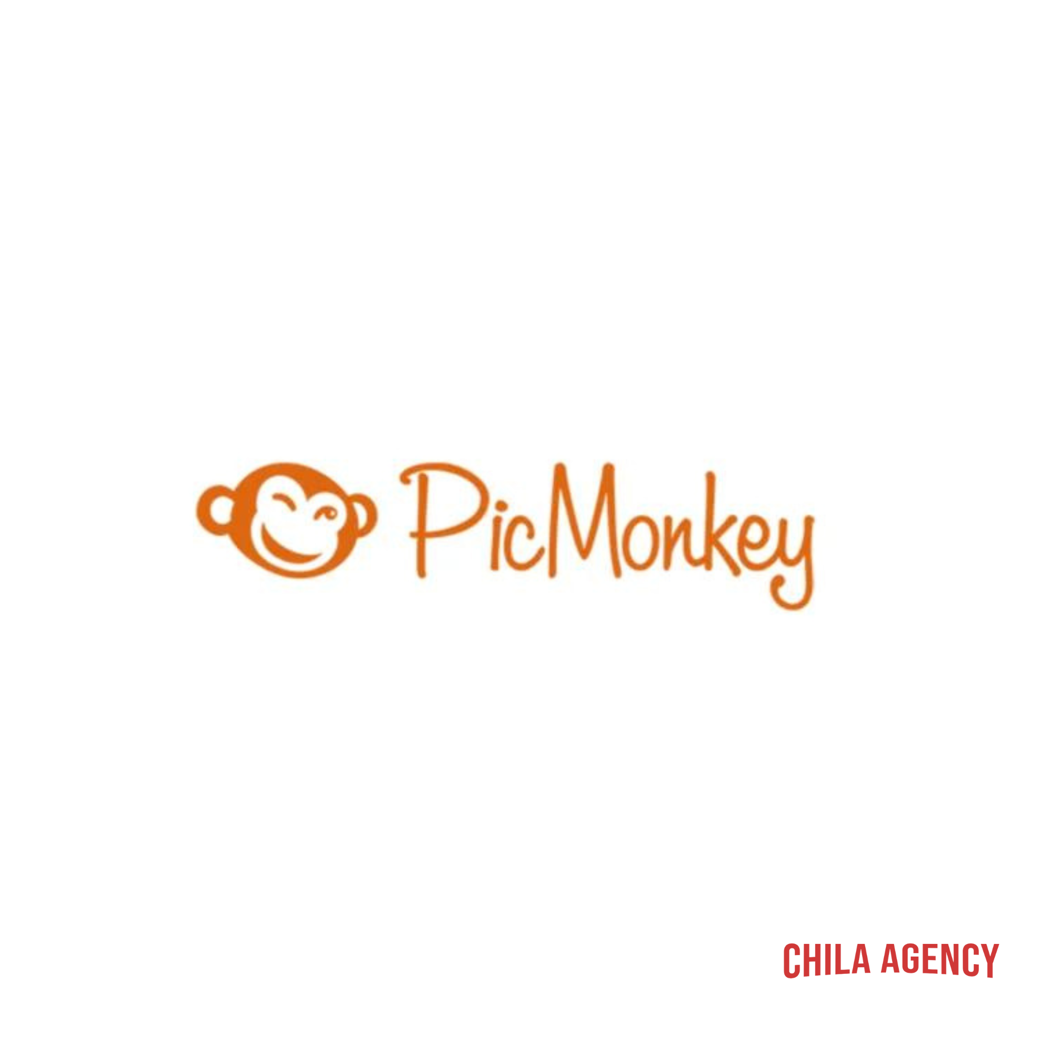  Tài khoản Picmonkey Basic (12 Tháng) – Thiết kế, chỉnh sửa ảnh trực tuyến 