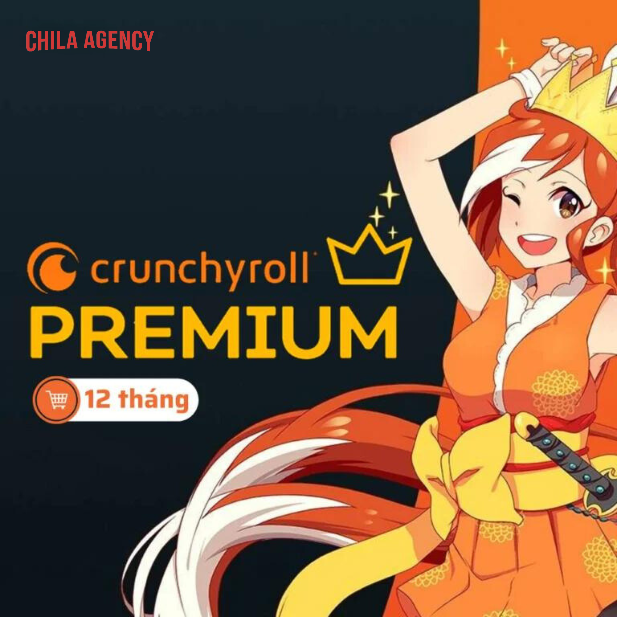  Tài khoản Crunchyroll (Fan) 12 tháng 