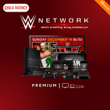  Tài khoản WWE Network nền tảng đấu vật trực tuyến 