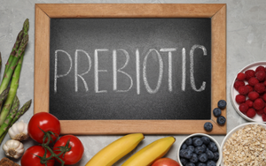 Prebiotics