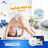  ANYZOO- Bỉm quần Premium size XL 42 miếng 