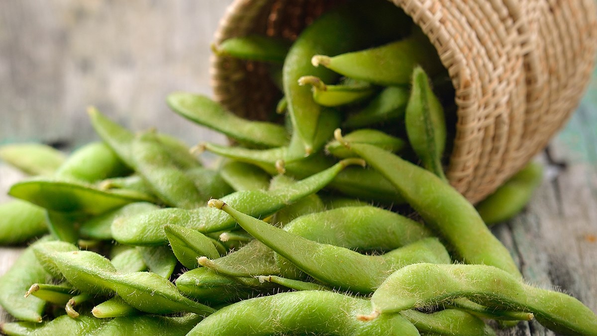 dau-nanh- Edamame 