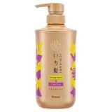  KRACIE – Dầu gội Ichikami cho tóc nhuộm 480ml 