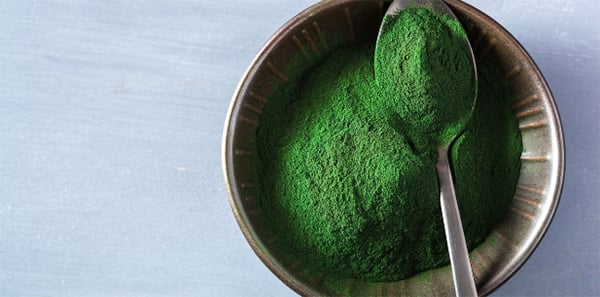 Tảo Spirulina Nhật Bản dạng bột