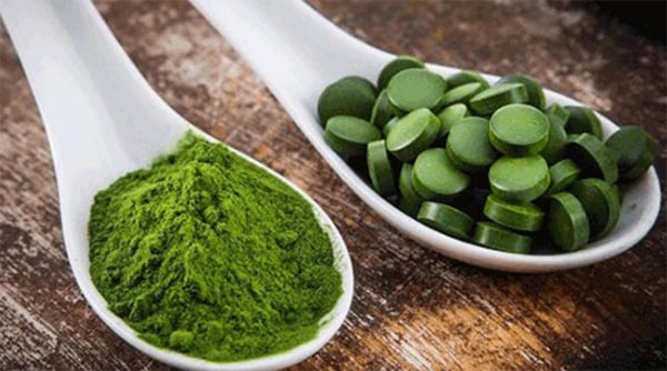 Tảo Spirulina bột và viên