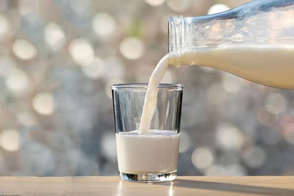 Lactose là thành phần chủ yếu có trong sữa động vật 