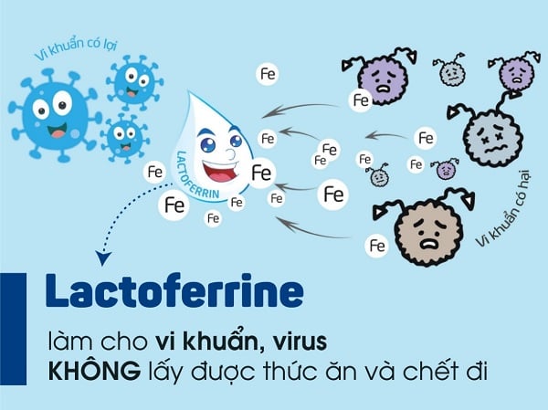 Sữa Morinaga số 0 có bổ sung Lactoferrin