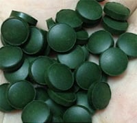 viên tảo Spirulina thật