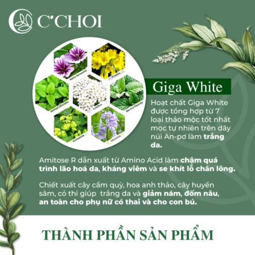 LĐ - C'CHOI Combo Phấn Nước + Lõi Herbal DD Cushion 15g x 2, SPF 50