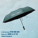  DÙ GẬP 3 TỰ ĐỘNG 2 CHIỀU 002 