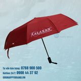  DÙ GẬP 3 TỰ ĐỘNG 1 CHIỀU 013 