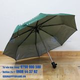 DÙ GẬP 3 TỰ ĐỘNG 2 CHIỀU 001 