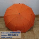  DÙ GẬP 3 TỰ ĐỘNG 1 CHIỀU 005 